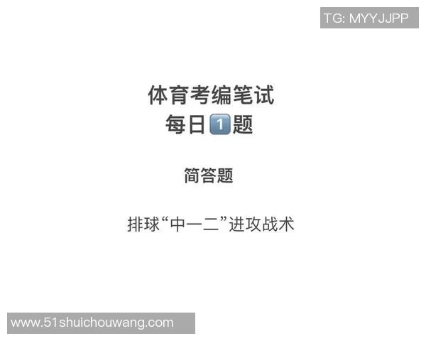 杭州排球队总决赛战术分析与表现评估全面解读