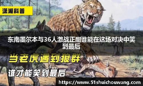 zoty中欧官方网站
